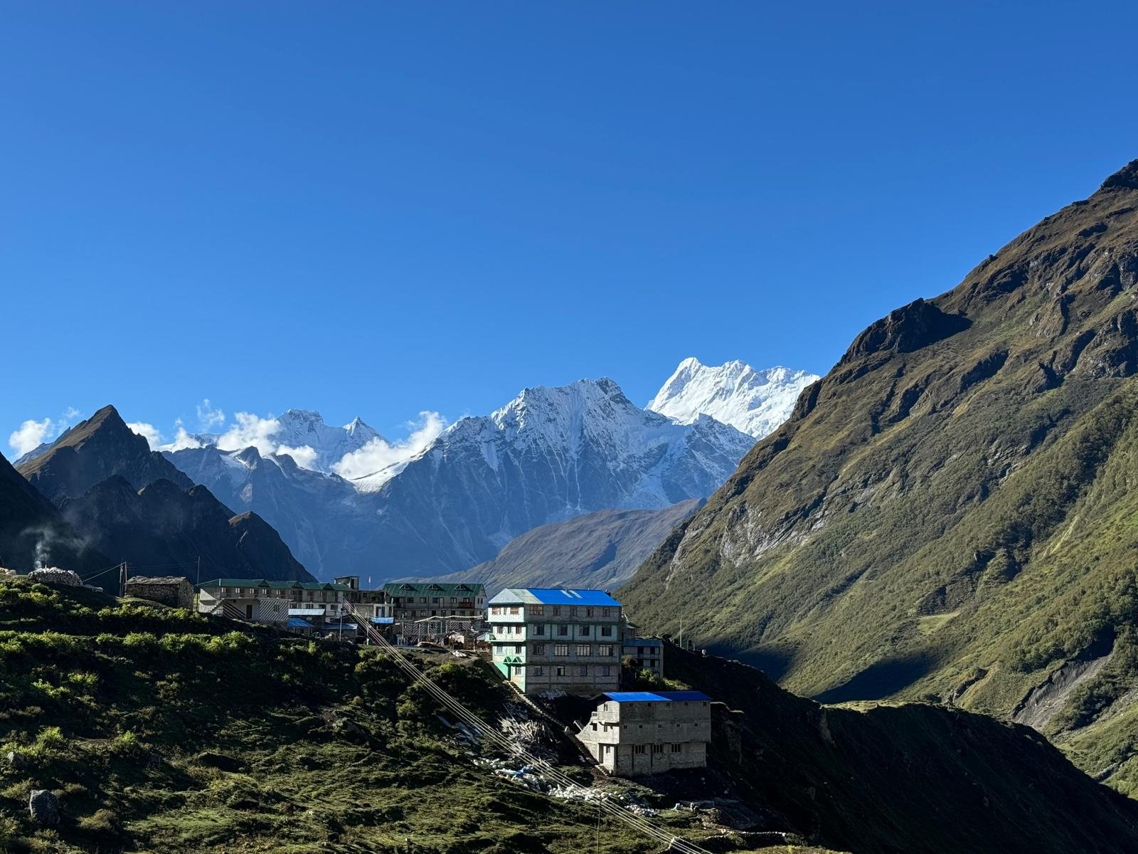 WhatsApp Image 2026-02-02 at 2.31.48 PM (1)