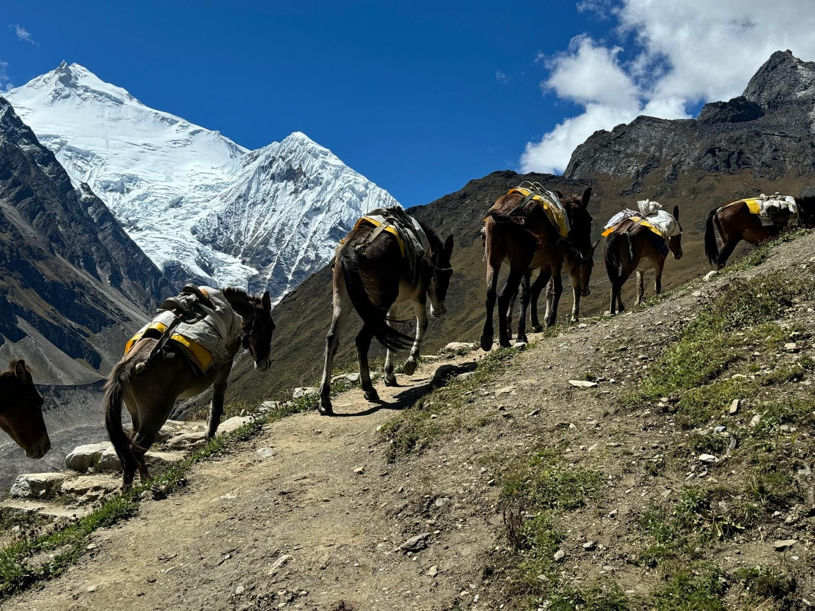 WhatsApp Image 2026-02-02 at 2.32.32 PM