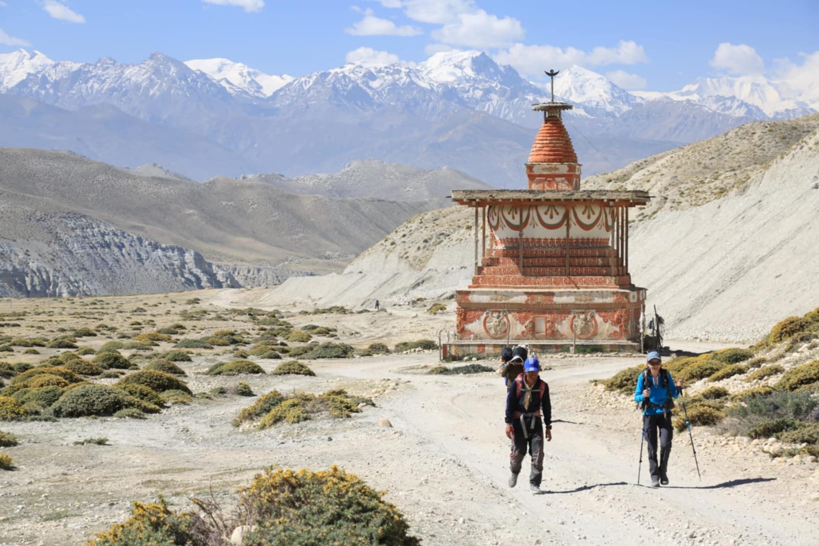 WhatsApp Image 2026-02-02 at 2.34.02 PM